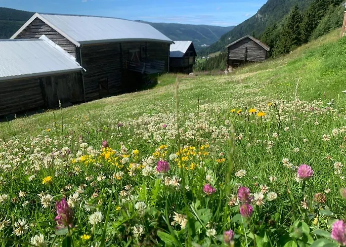 Architect Designed Sleeping Box In Barn Hébergement de vacances